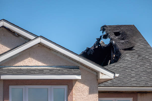 Top rated local Fire Board Up specialists in Bellevue, PA